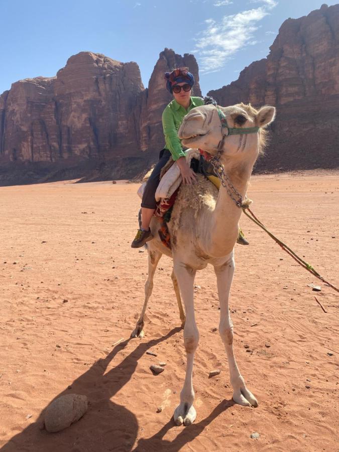 Wadi Rum Desert Base Camp Eksteriør billede